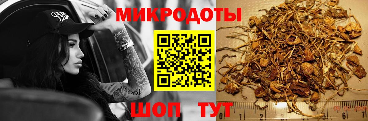 Кировск  где купить наркоту  Псилоцибиновые грибы GOLDEN TEACHER  Вход с VPN  Галлюциногенные грибы Psilocybe 